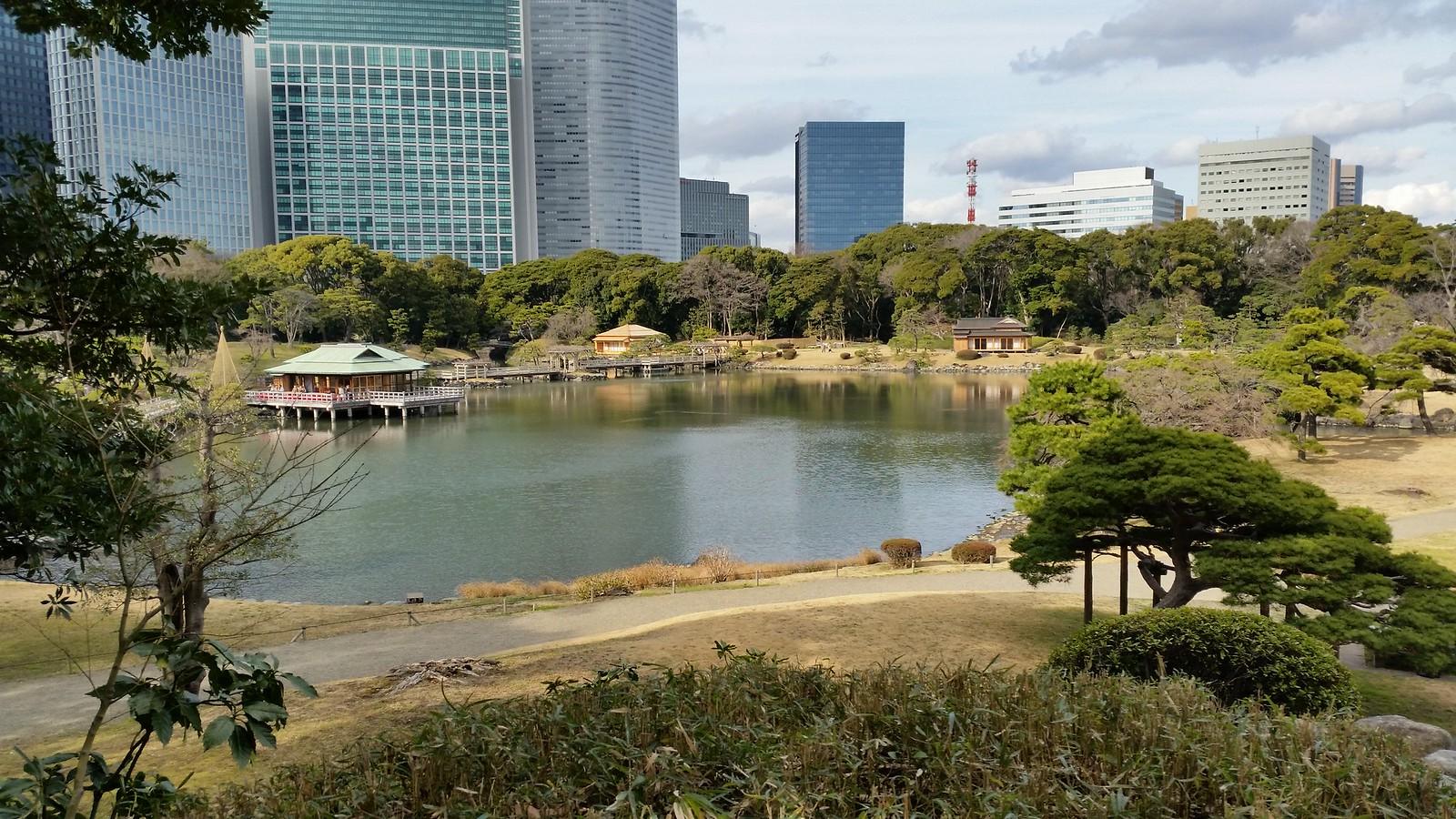 Tokyo's Shinjuku Gyoen adjusts summer hours and admission fees