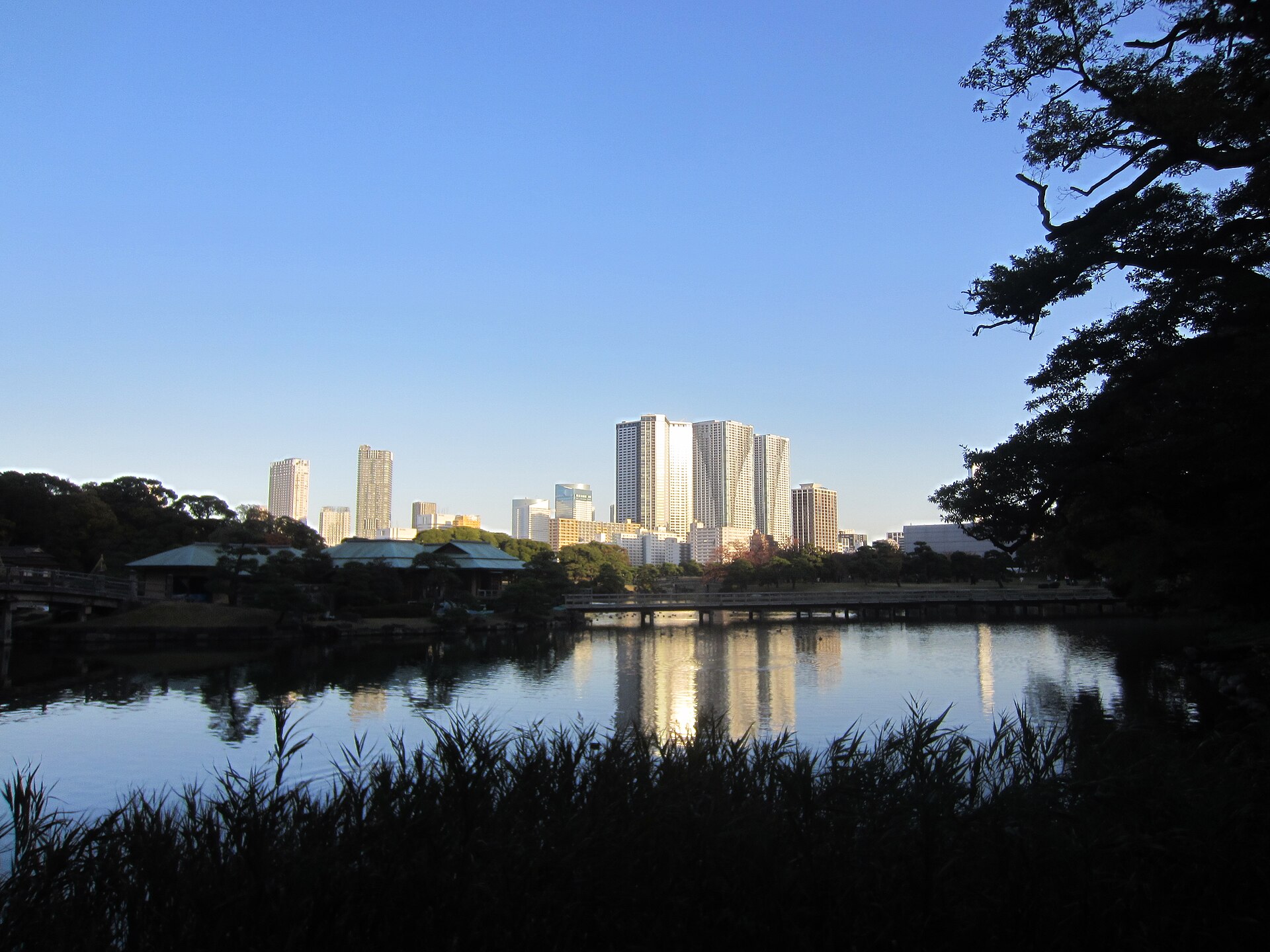 Things to Do in Tokyo Japan