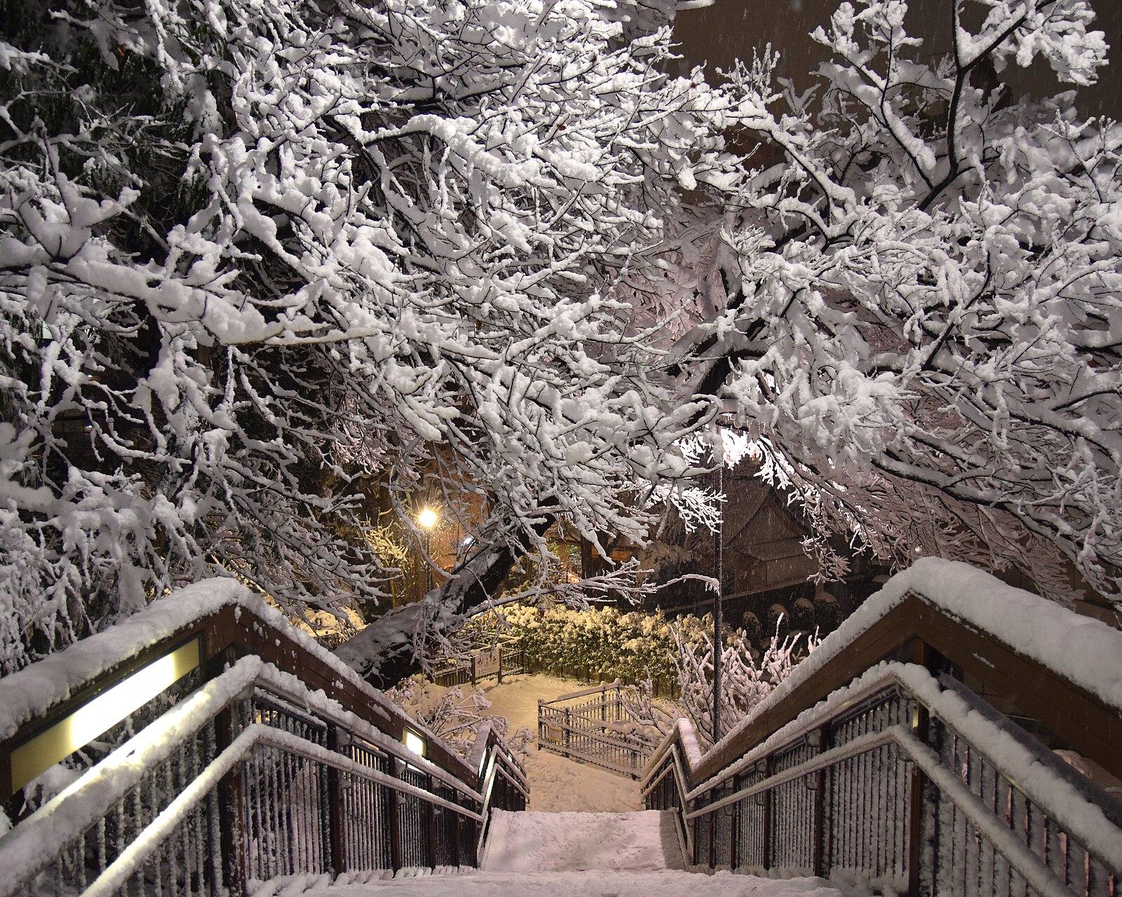 Snow in Tokyo, Japan; January 2018 (12)