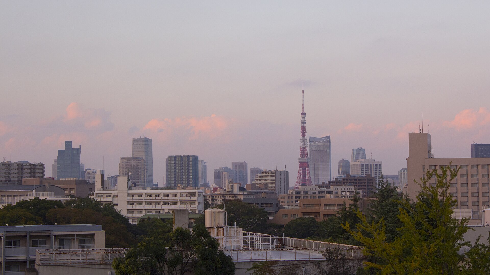 Shibuya Scramble Crossing, Sky Views and Local Food Alleys: Daily Tips from Residents Who Navigate It All