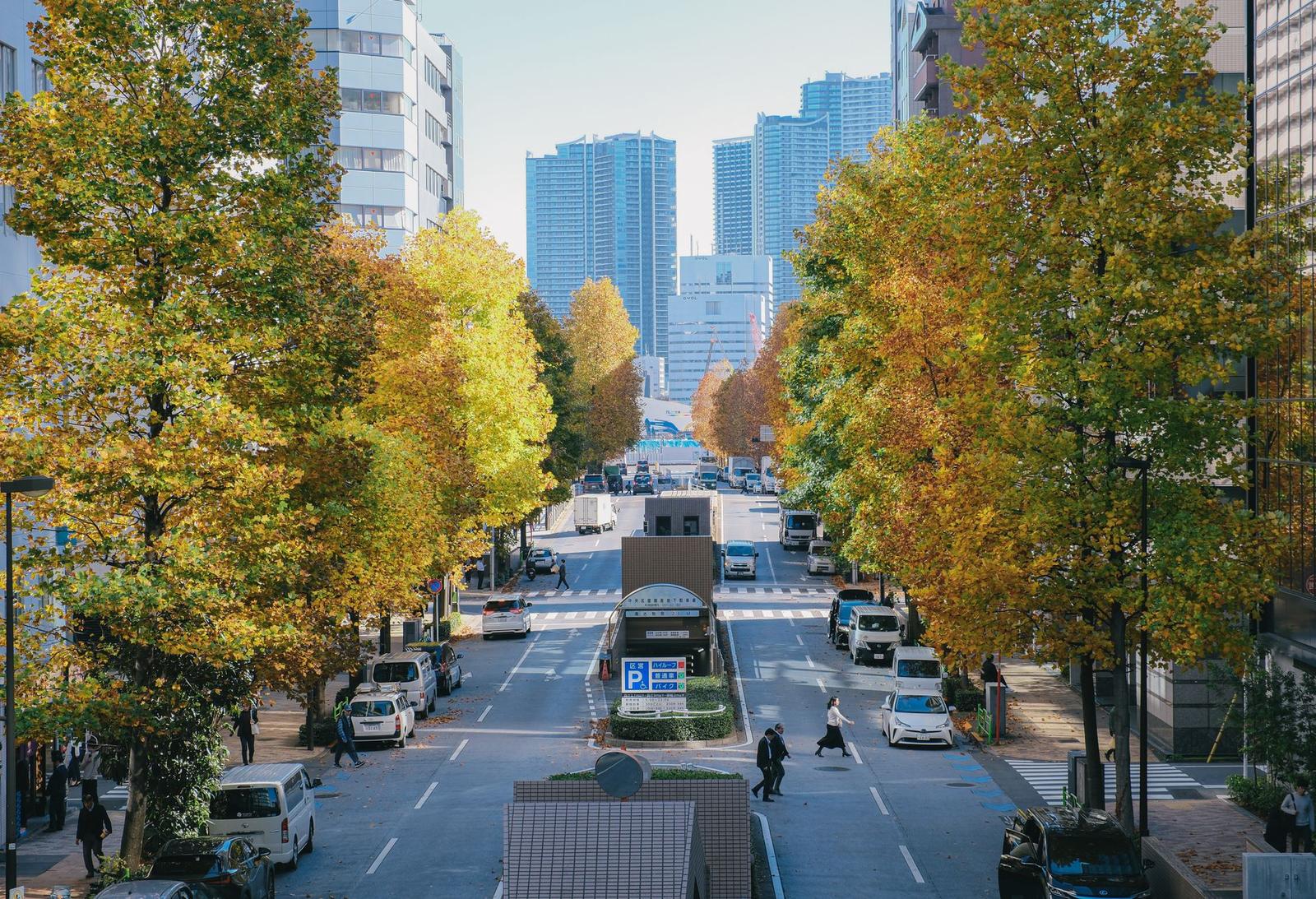 Urban Street View during Fall in Tokyo