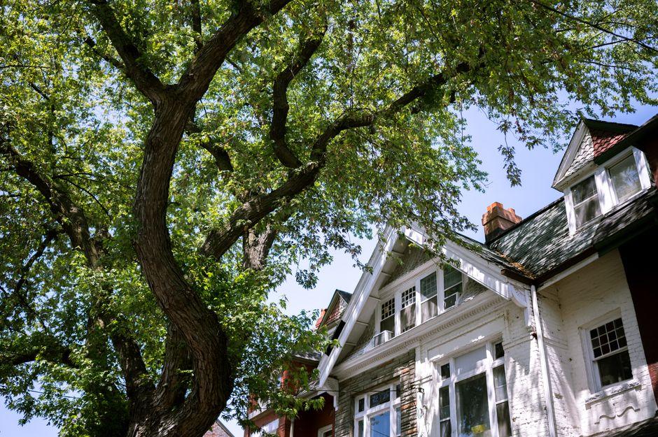 Regional Rental Markets Outpace Tokyo for Affordability: New Data Highlights Growing Gap