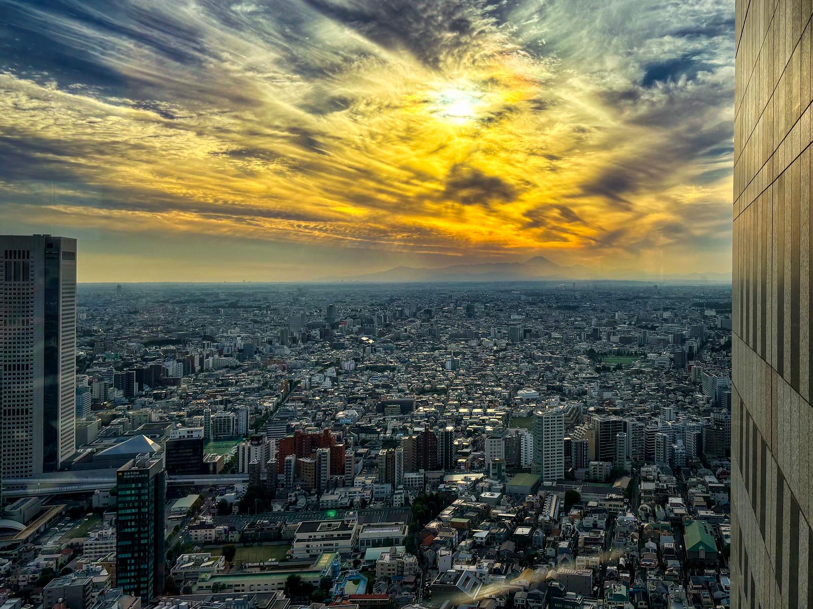 Tokyo Renters: Navigate 2026 Housing Market, Key Money, Guarantor Rules
